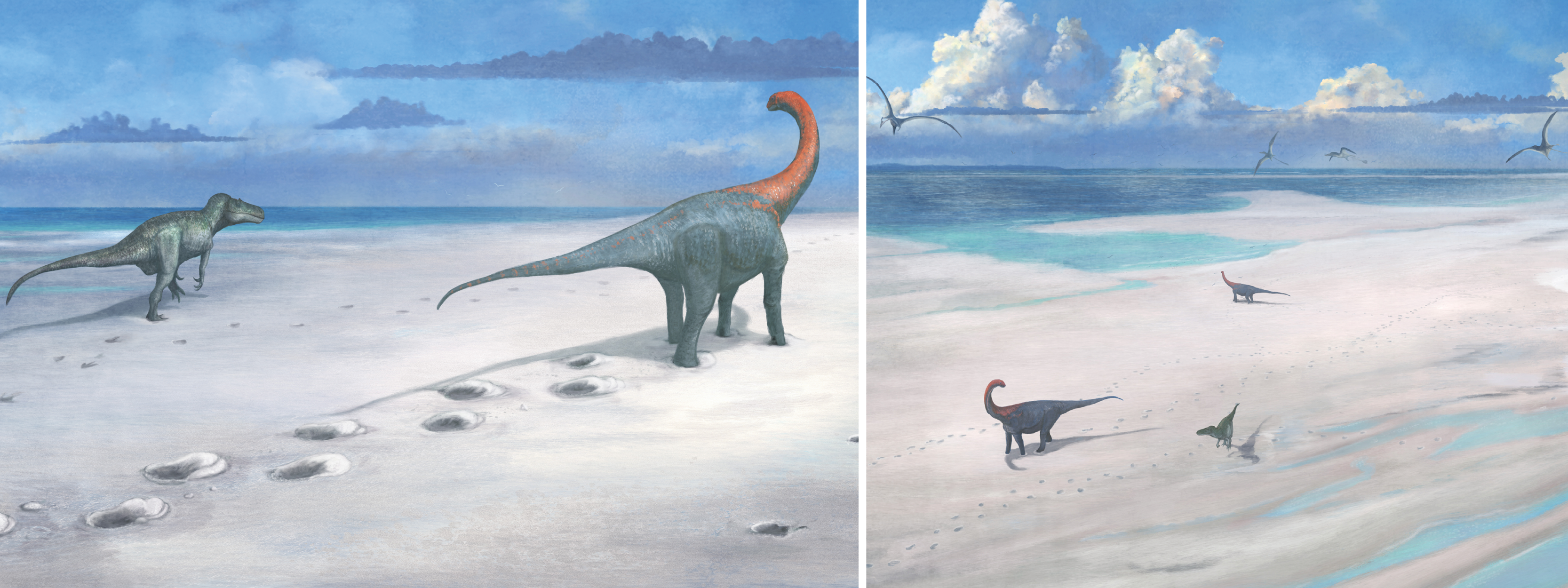 Meet the dino's