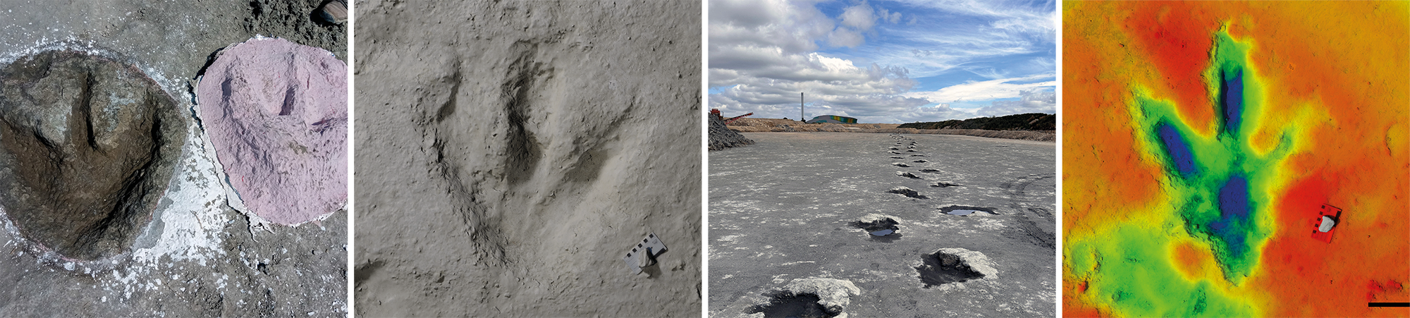 Dino Prints